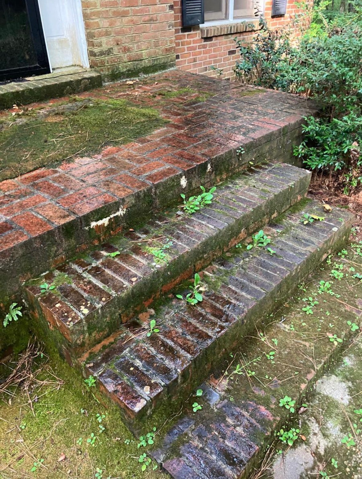 How Professionals Clean Moss and Algae From Brick Steps