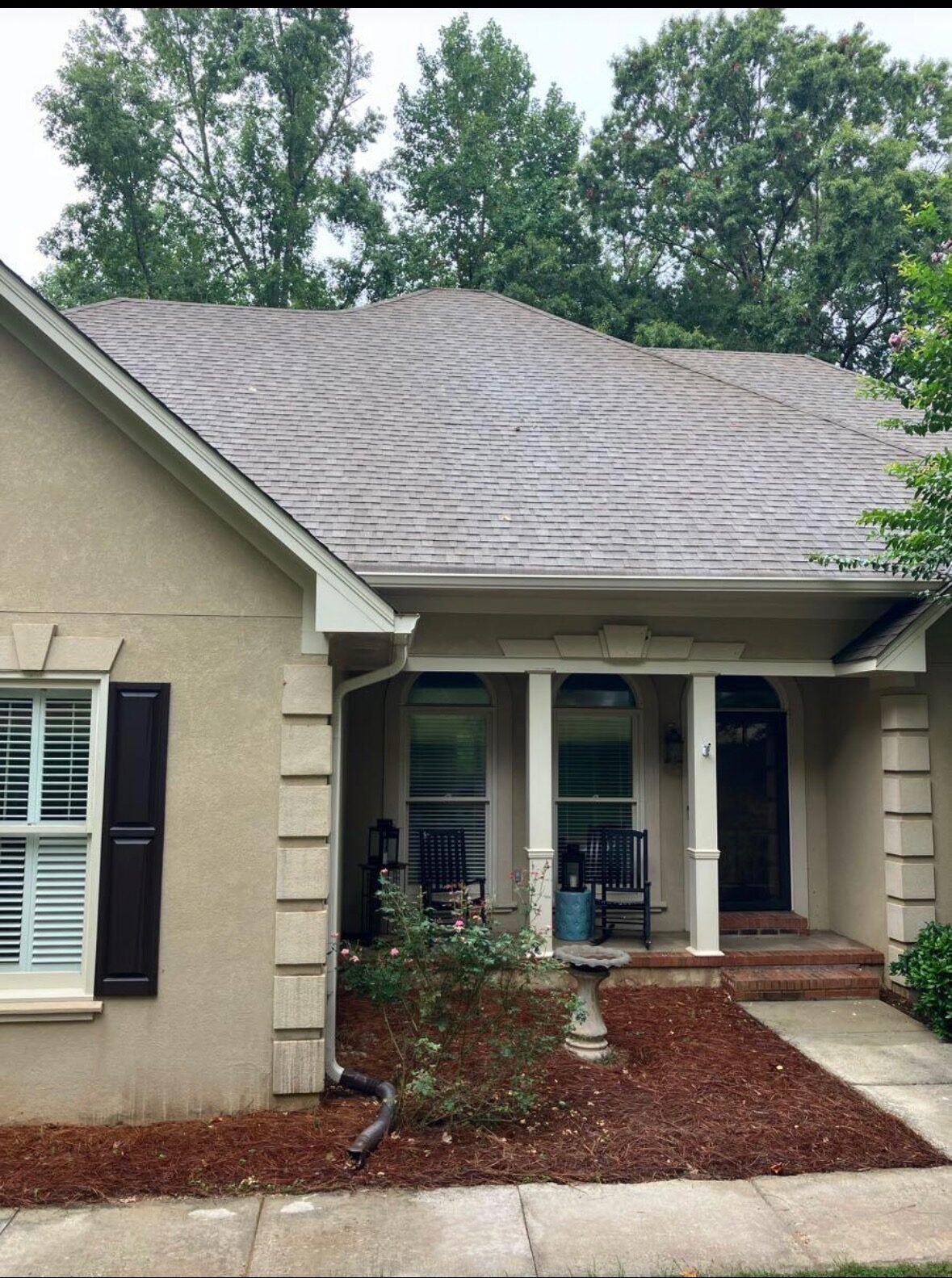Roof Soft Washing