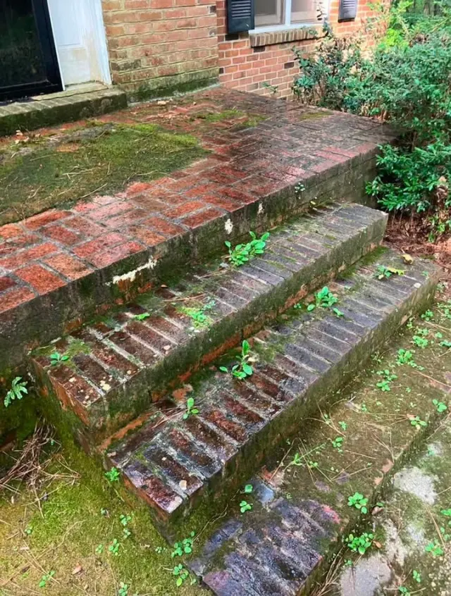 Photo 4 from the job: Tired of dirt, grime, algae, and mildew taking over your property?