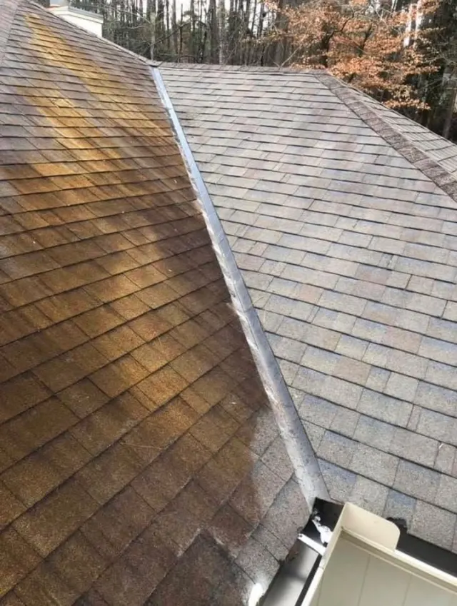 Photo 6 from the job: Dirty roof? No sweat
